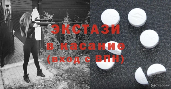 индика Зеленокумск