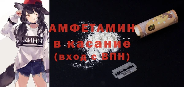 индика Зеленокумск