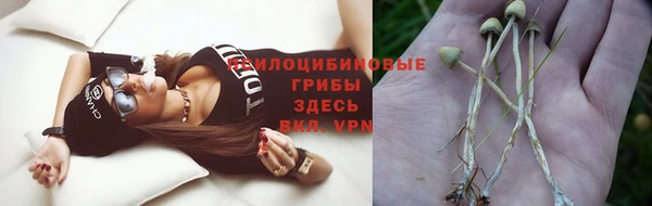 скорость Зеленодольск