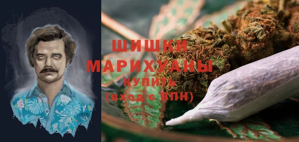 индика Зеленокумск